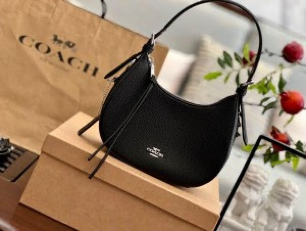 Coaach kleo hobo bag in signature canvas bag with box