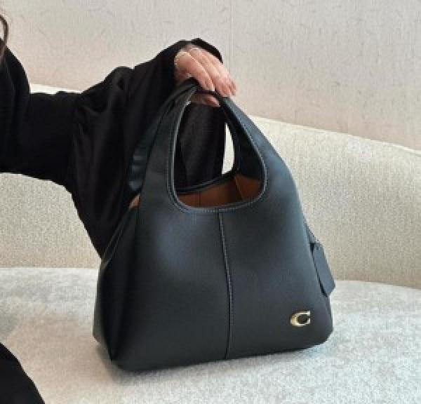 Coacch lana hobo sling bag premium quality with box
