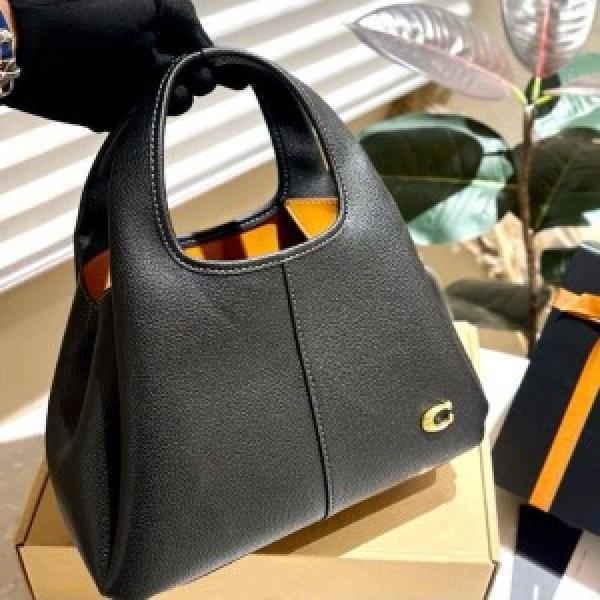 Coacch lana hobo sling bag premium quality with box