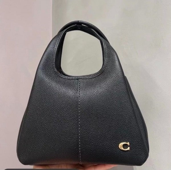 Coacch lana hobo sling bag premium quality with box