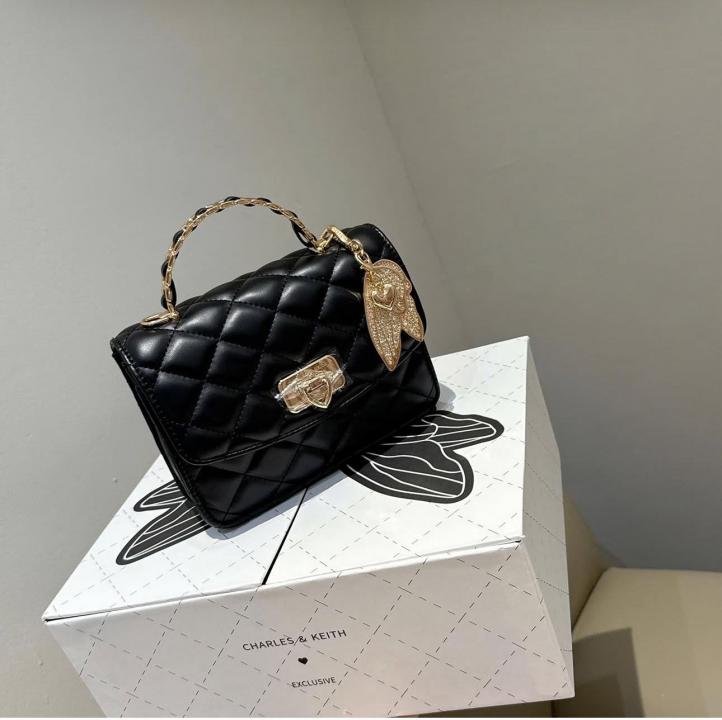 CHARLESS & KEIITH HOBO BAG WITH OG BOX