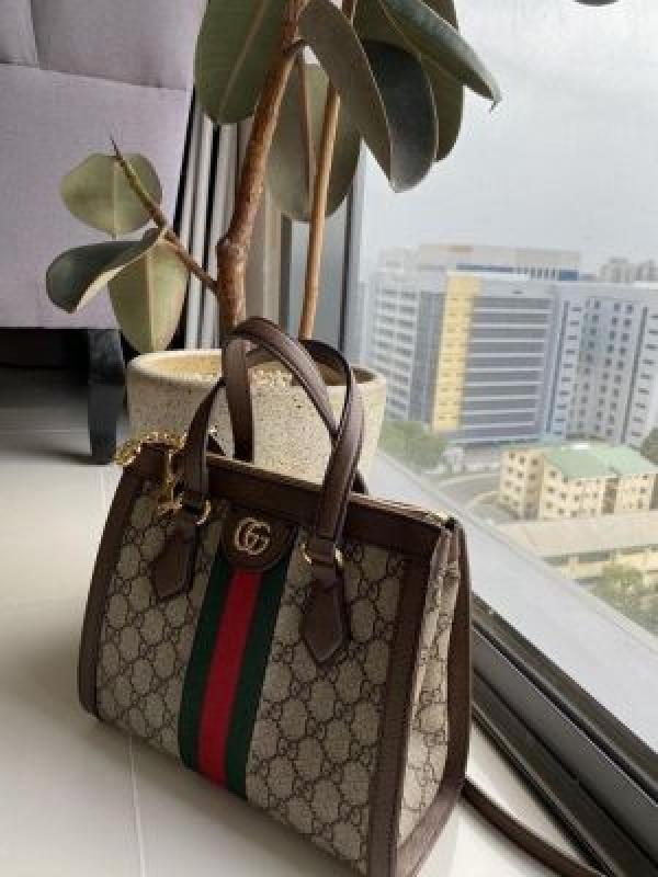 Guccii ophidia totebag with double box(carry bag) premium quality