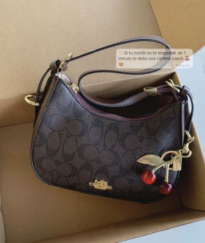 Coach Newyork Bag with Box premium quality