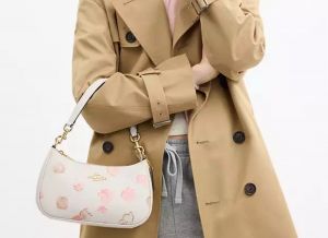 Coach teri premium shoulder bag highend with original box premium packing(with kitchen)