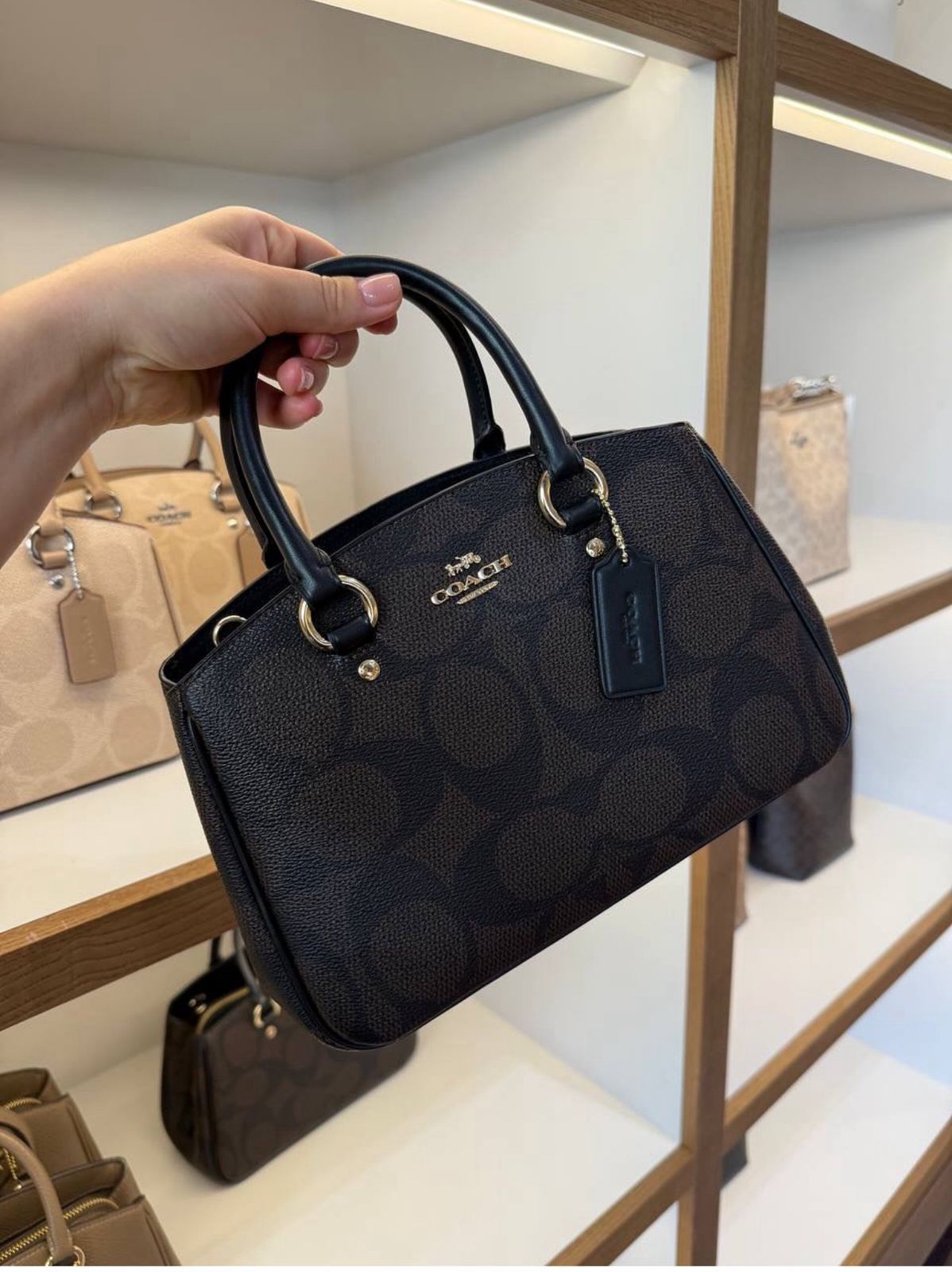 Coaach Savannah Carryall Stachel Bag With Box Dustbag Slingbelt Card