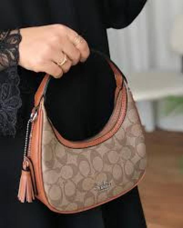 Coachh Mini Crossbody bag With OG Box & Dust Bag