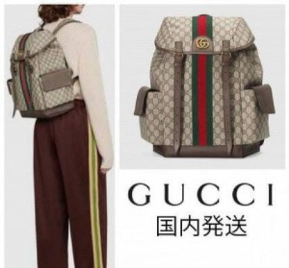 Gucci ophidia gg back pack premium quality unisex with dust bag