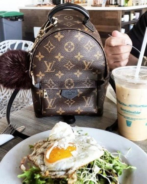 Louis vuttion palm spring mini backpack with