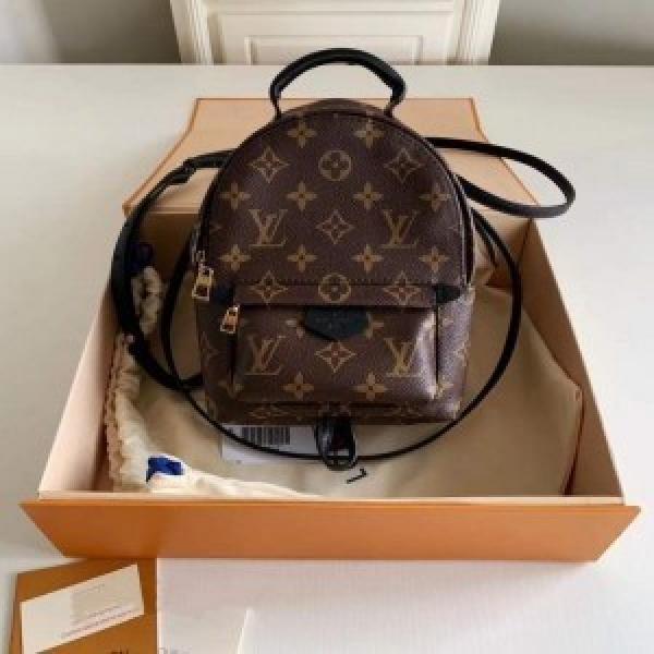 Louis vuttion palm spring mini backpack with