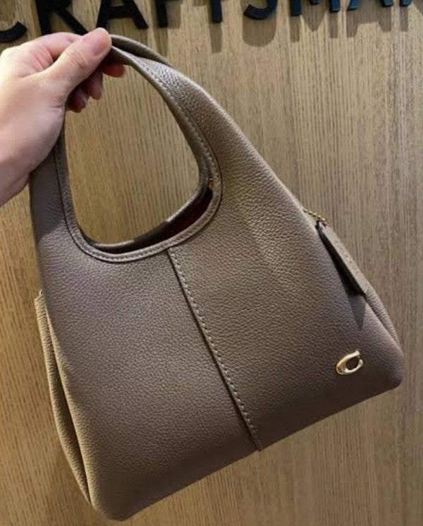 Coach lana hobo sling bag premium quality with box