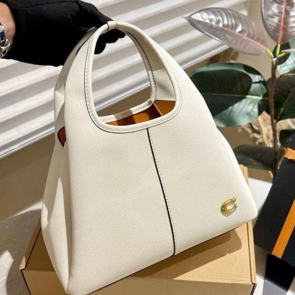 Coacch lana hobo sling bag premium quality with box