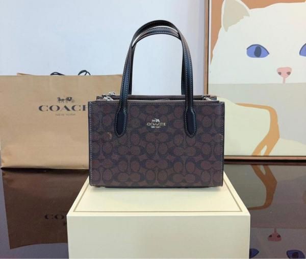 Coachh mini nina tote bag premium quality with double box